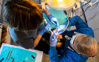 Why You Really DO Need Those Regular Dental Checkups