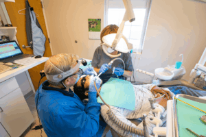 Dental Implant options